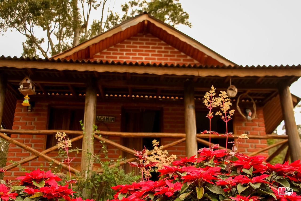 Chalés Kayoá Córrego do Bom Jesus Exterior foto
